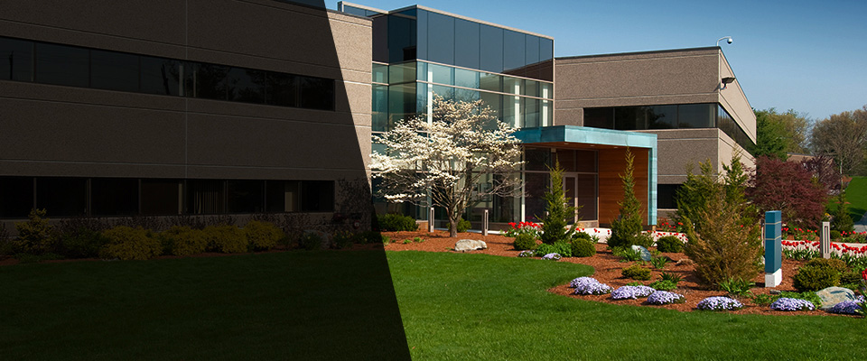 The Villages Landscapers