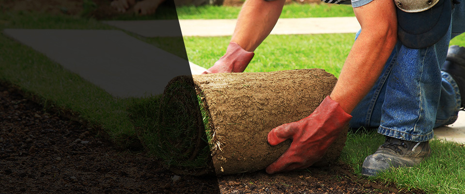 The Villages Landscapers